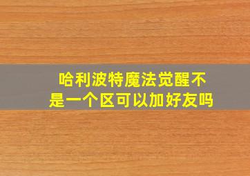 哈利波特魔法觉醒不是一个区可以加好友吗