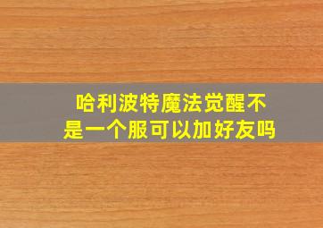 哈利波特魔法觉醒不是一个服可以加好友吗