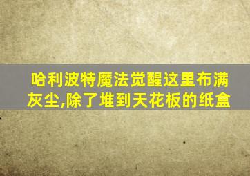 哈利波特魔法觉醒这里布满灰尘,除了堆到天花板的纸盒