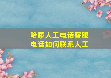 哈啰人工电话客服电话如何联系人工