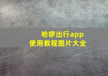 哈啰出行app使用教程图片大全