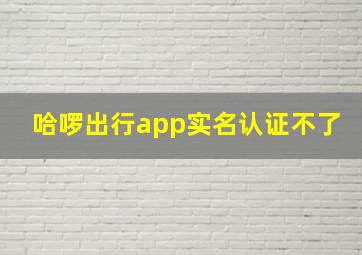 哈啰出行app实名认证不了