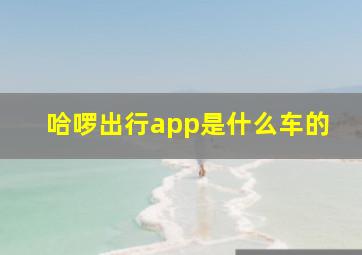 哈啰出行app是什么车的