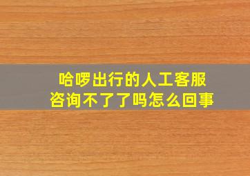 哈啰出行的人工客服咨询不了了吗怎么回事