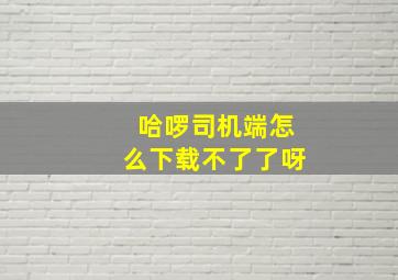 哈啰司机端怎么下载不了了呀