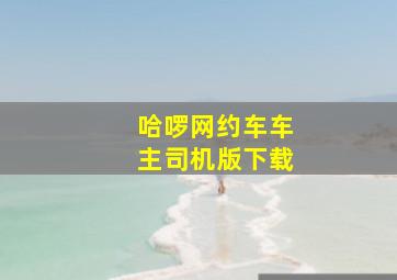 哈啰网约车车主司机版下载