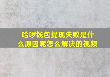 哈啰钱包提现失败是什么原因呢怎么解决的视频