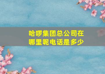 哈啰集团总公司在哪里呢电话是多少