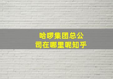 哈啰集团总公司在哪里呢知乎