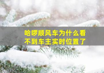 哈啰顺风车为什么看不到车主实时位置了