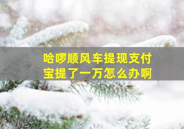 哈啰顺风车提现支付宝提了一万怎么办啊