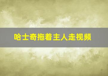 哈士奇拖着主人走视频