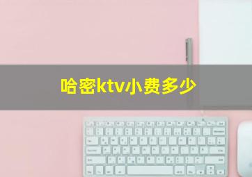 哈密ktv小费多少