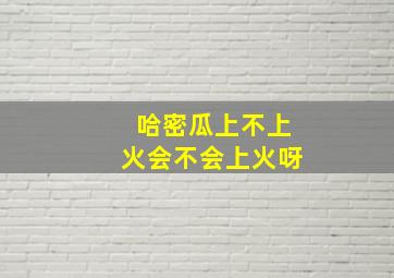 哈密瓜上不上火会不会上火呀