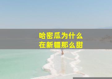 哈密瓜为什么在新疆那么甜