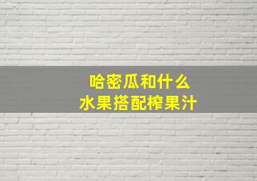 哈密瓜和什么水果搭配榨果汁