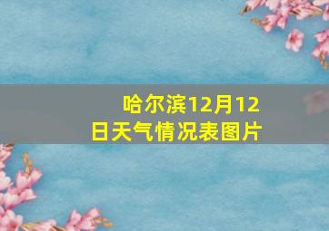 哈尔滨12月12日天气情况表图片