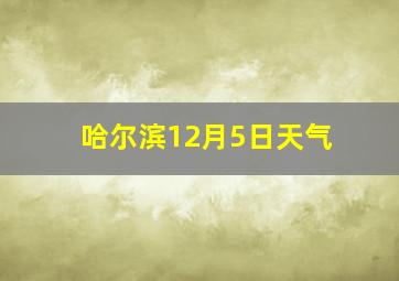 哈尔滨12月5日天气