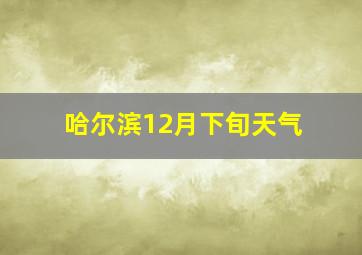 哈尔滨12月下旬天气