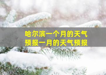 哈尔滨一个月的天气预报一月的天气预报