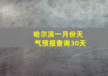 哈尔滨一月份天气预报查询30天