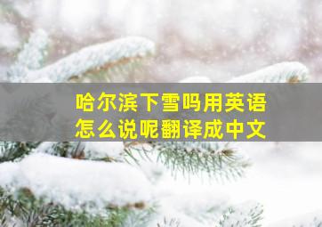 哈尔滨下雪吗用英语怎么说呢翻译成中文