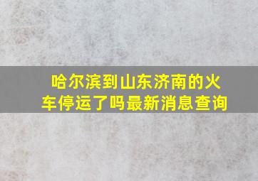 哈尔滨到山东济南的火车停运了吗最新消息查询