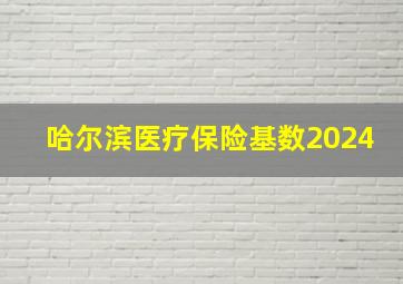 哈尔滨医疗保险基数2024