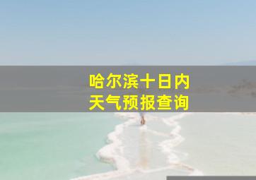 哈尔滨十日内天气预报查询