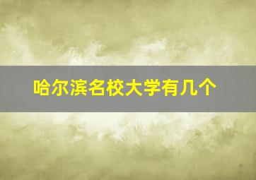 哈尔滨名校大学有几个