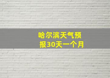 哈尔滨天气预报30天一个月