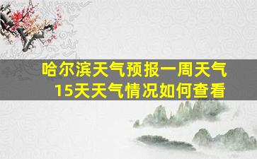 哈尔滨天气预报一周天气15天天气情况如何查看