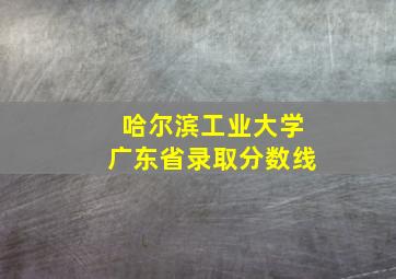 哈尔滨工业大学广东省录取分数线