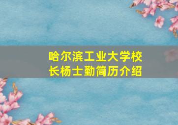 哈尔滨工业大学校长杨士勤简历介绍