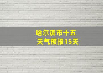 哈尔滨市十五天气预报15天