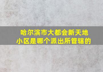 哈尔滨市大都会新天地小区是哪个派出所管辖的