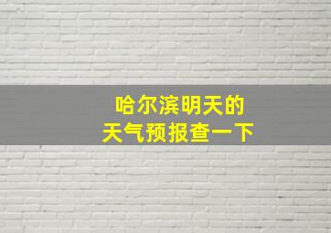 哈尔滨明天的天气预报查一下