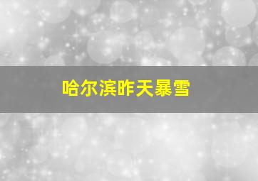 哈尔滨昨天暴雪