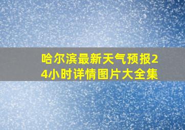 哈尔滨最新天气预报24小时详情图片大全集