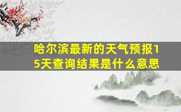 哈尔滨最新的天气预报15天查询结果是什么意思