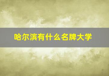 哈尔滨有什么名牌大学