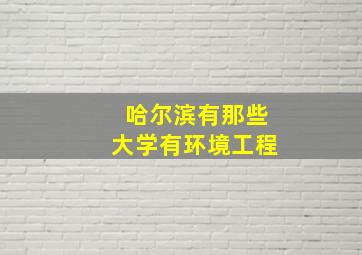 哈尔滨有那些大学有环境工程