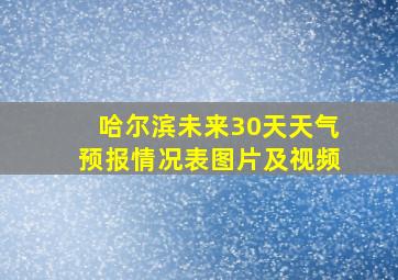 哈尔滨未来30天天气预报情况表图片及视频