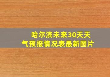 哈尔滨未来30天天气预报情况表最新图片