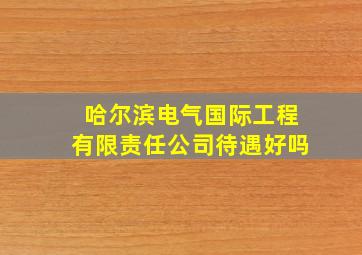 哈尔滨电气国际工程有限责任公司待遇好吗