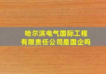 哈尔滨电气国际工程有限责任公司是国企吗