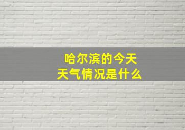 哈尔滨的今天天气情况是什么