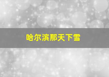 哈尔滨那天下雪