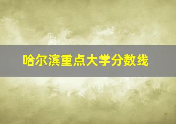 哈尔滨重点大学分数线