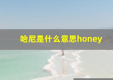 哈尼是什么意思honey